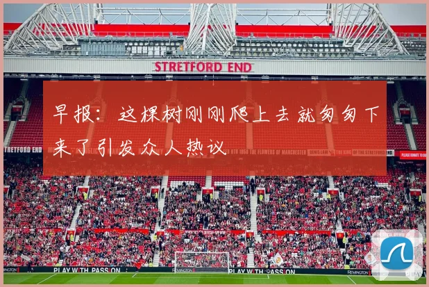 早报：这棵树刚刚爬上去就匆匆下来了引发众人热议