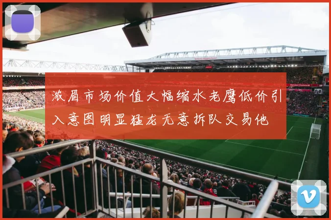 浓眉市场价值大幅缩水老鹰低价引入意图明显猛龙无意拆队交易他